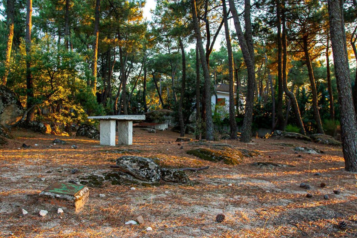 Hostal Casa Cadalso, Mirador De Gredos, Madrid Cadalso de los Vidrios Exterior foto
